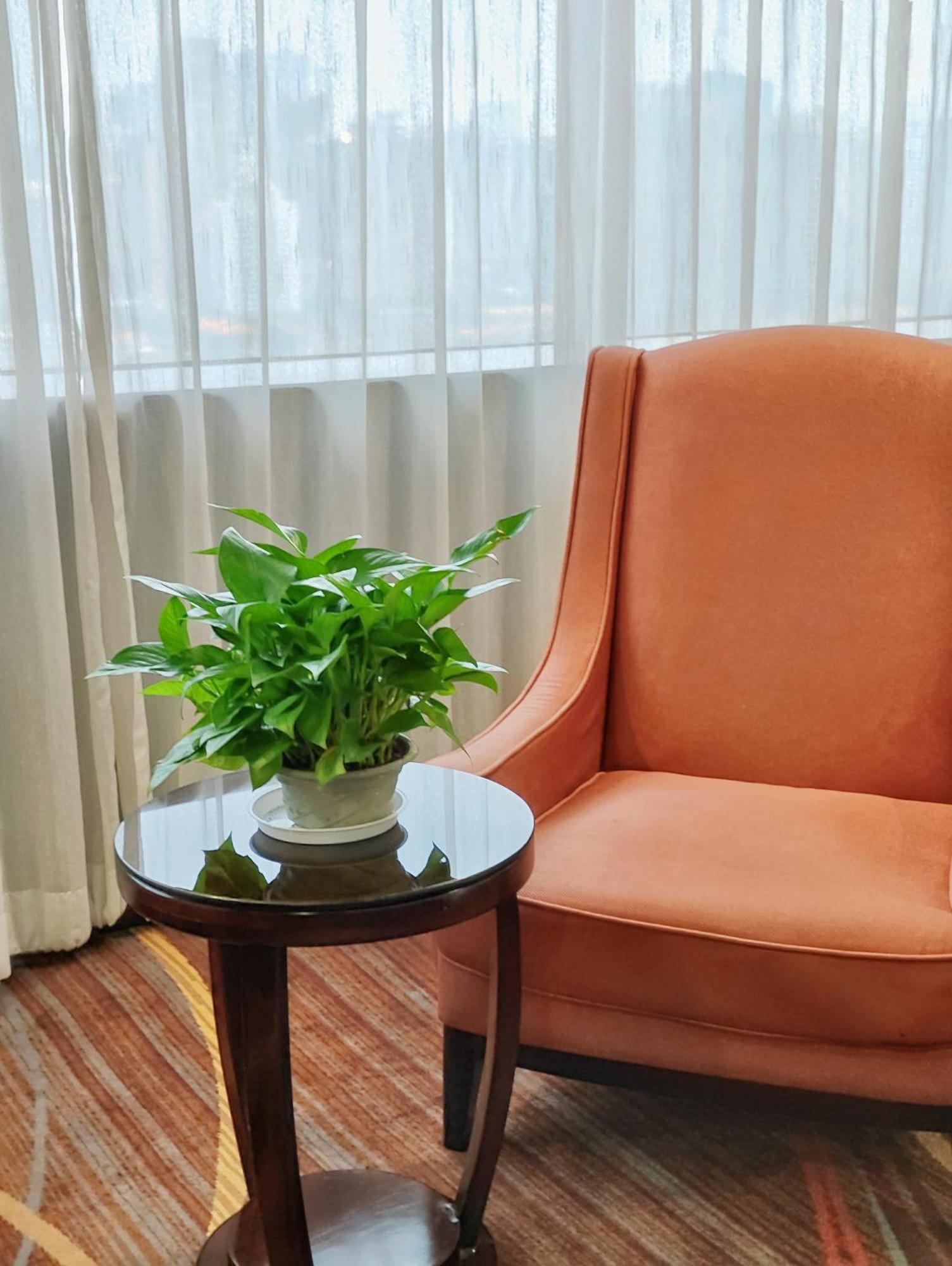 Skyline Plaza Hotel Гуанчжоу Экстерьер фото